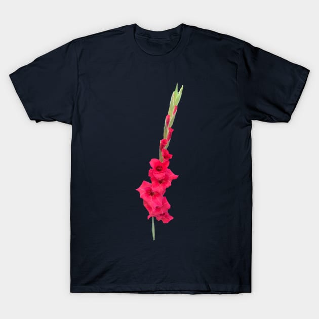 Gladiolus T-Shirt by Amanda1775